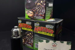 Sưởi sứ cho thú cưng