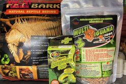 vỏ thông chó bò sát