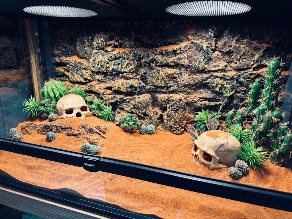 bể kính cho bò sát yl01 sa mạc (5)