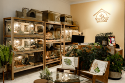 Bể gỗ cho bò sát