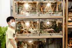 Bể gỗ cho bò sát