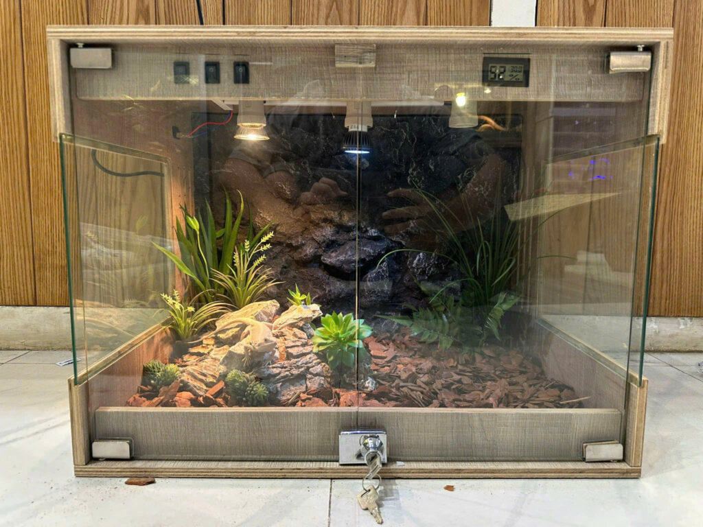 Bể gỗ cho bò sát 