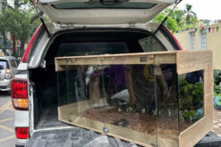 Bể gỗ cho bò sát