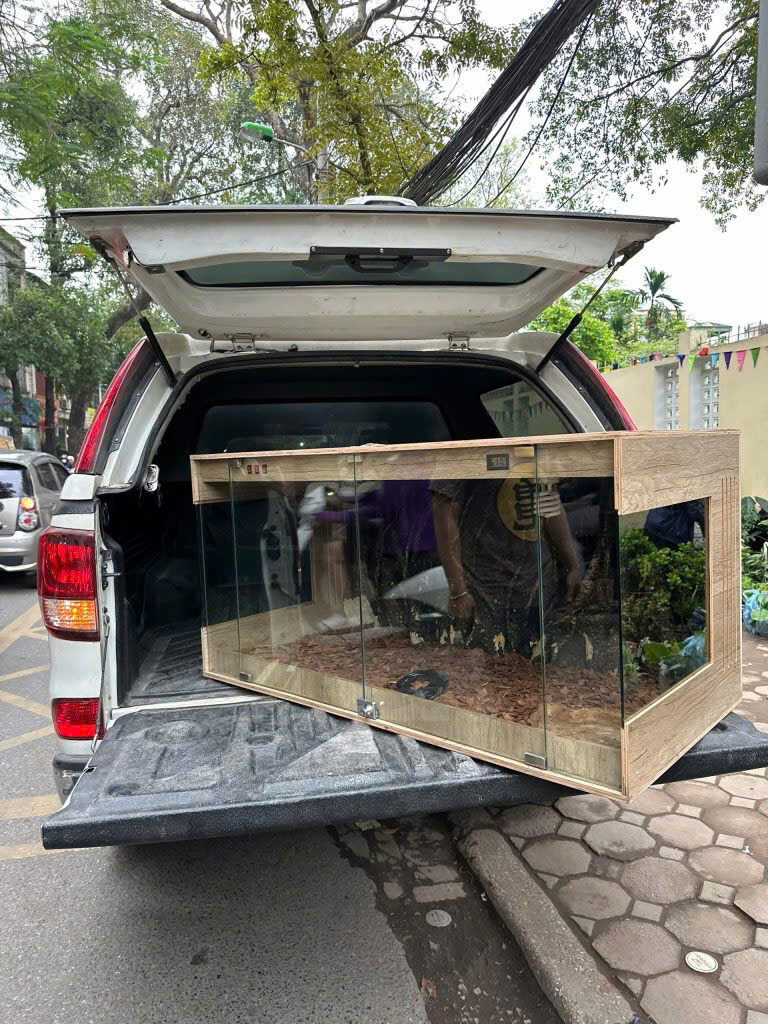 Bể gỗ cho bò sát 