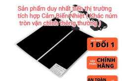 Tấm sươi cho bò sát