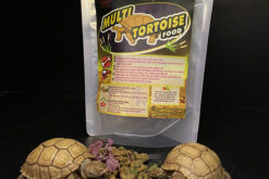 Thức ăn rùa cạn