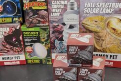 Đèn Sưởi cho thú cưng