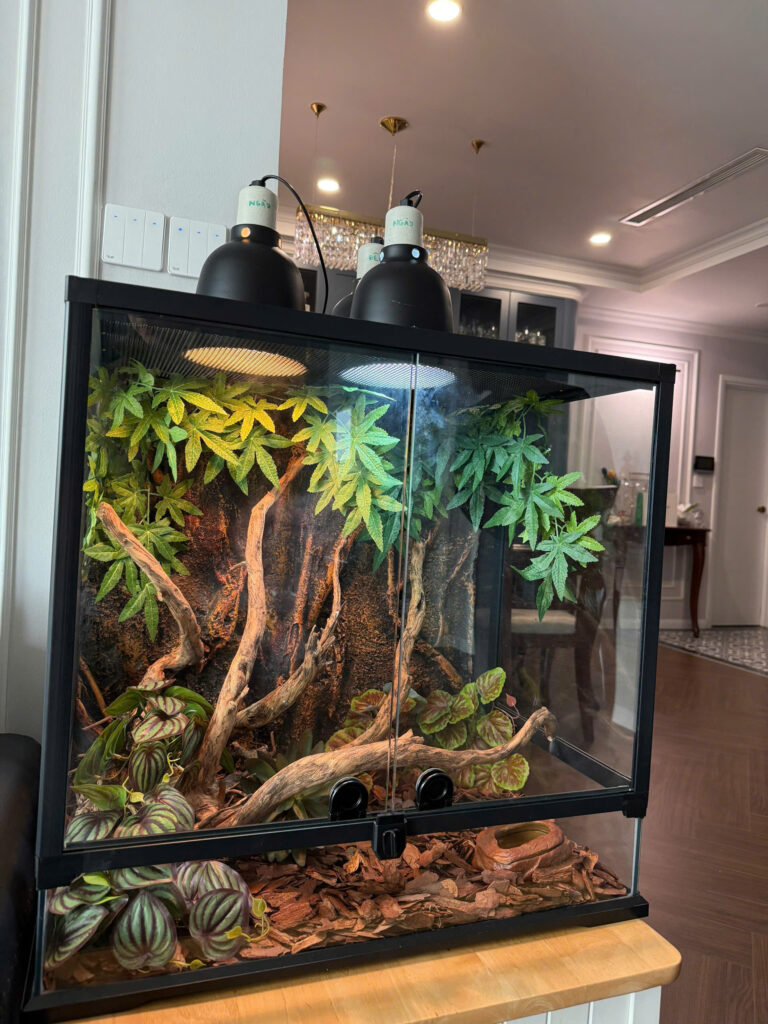 Bể kính cho bò sát YL09