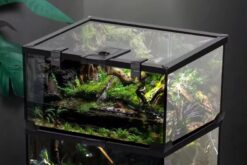 Bể Kính Chuyên Dụng Cho Bò Sát Nhỏ Nomoy - YL07