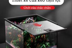 Bể Kính Chuyên Dụng Cho Bò Sát Nhỏ Nomoy - YL07 -Vietpet Garden