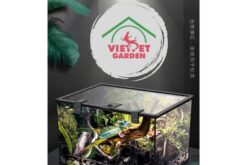 Bể Kính Chuyên Dụng Cho Bò Sát Nhỏ Nomoy - YL07 -Vietpet Garden