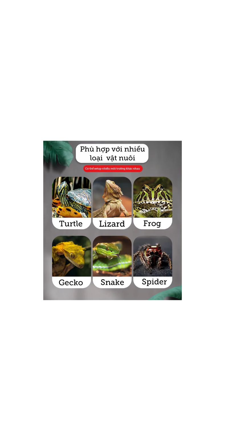 Bể Kính Chuyên Dụng Cho Bò Sát Nhỏ Nomoy - YL07 -Vietpet Garden Bể Kính Chuyên Dụng Cho Bò Sát Nhỏ Nomoy - YL07 -Vietpet Garden