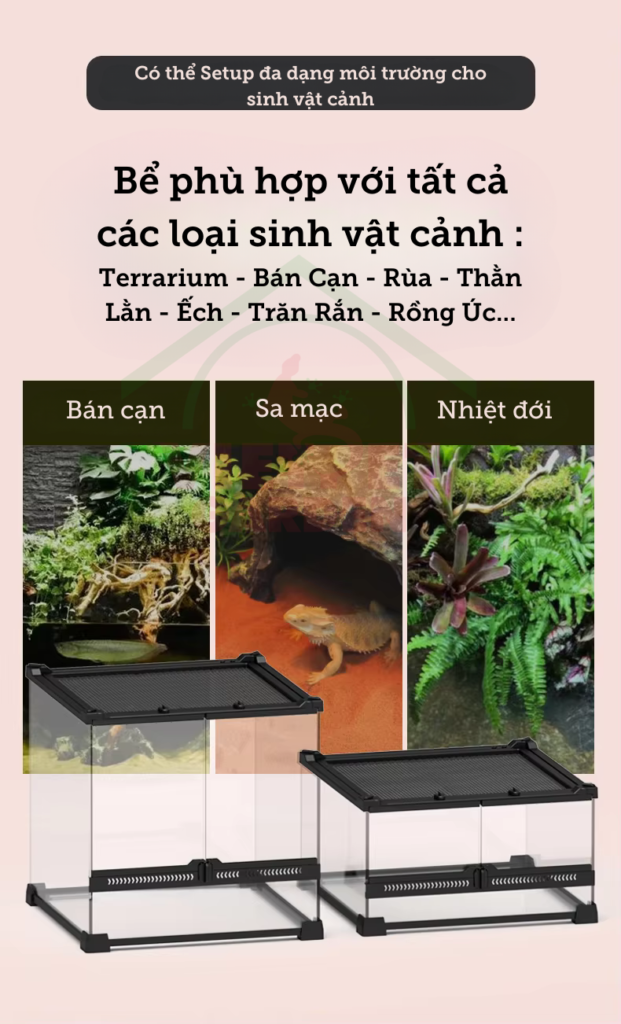 Bể kính cho bò sát YL11