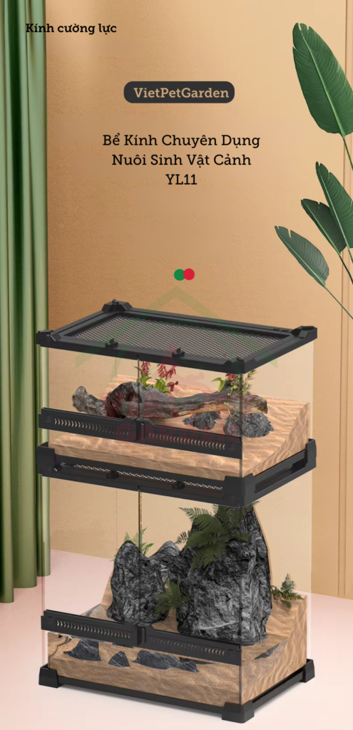 Bể kính cho bò sát YL11