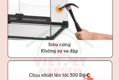Bể kính cho bò sát YL11