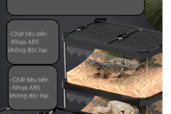 Hộp nuôi bò sát