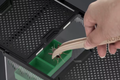 Hộp nuôi bò sát