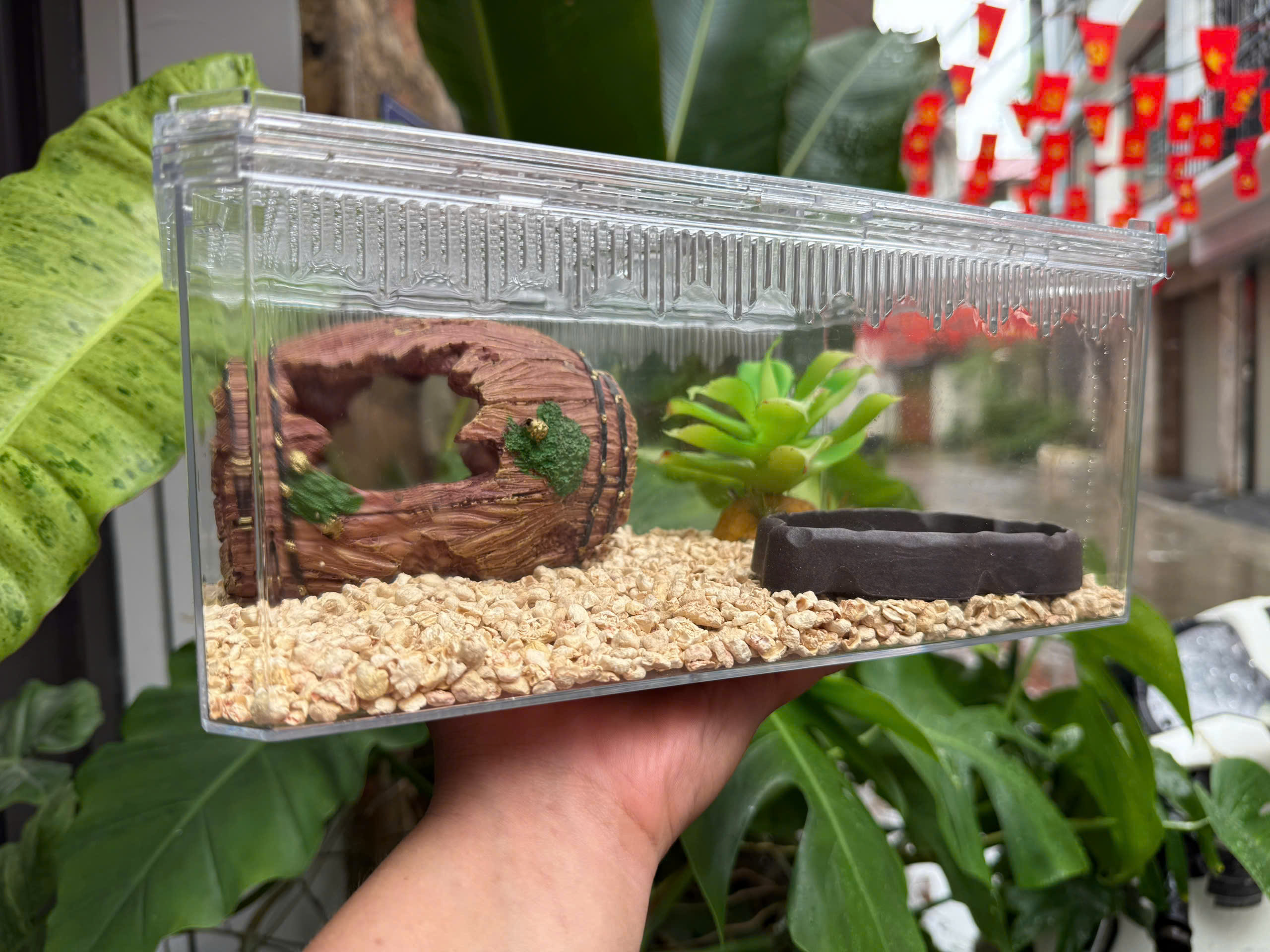 Hộp nuôi bò sát H14 Vietpetgarden (3) Hộp nuôi bò sát