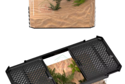 Hộp nuôi bò sát