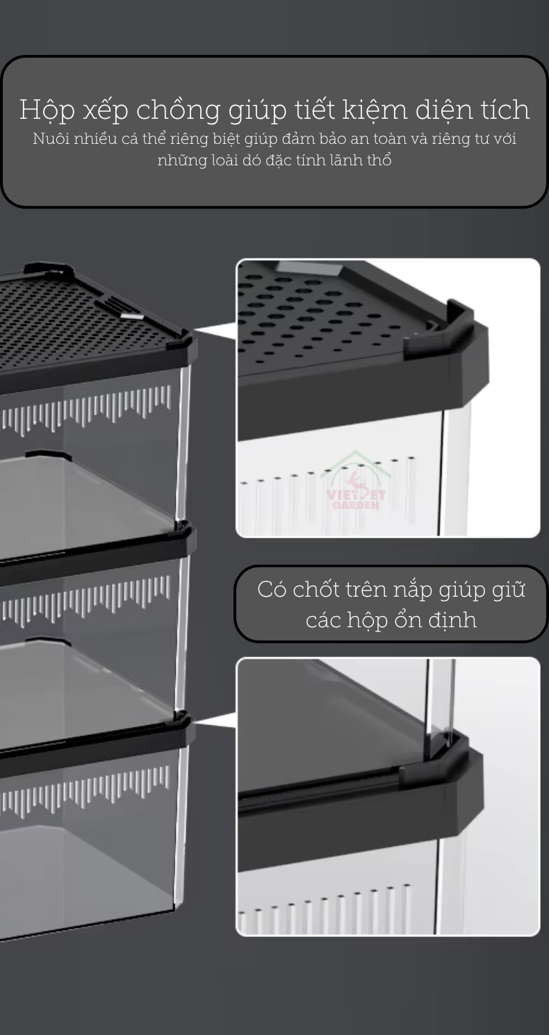 Hộp nuôi bò sát H14 Vietpetgarden (6) Hộp nuôi bò sát