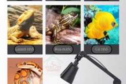 Kẹp đèn đôi cho bò sát Nomoy Vietpetgarden