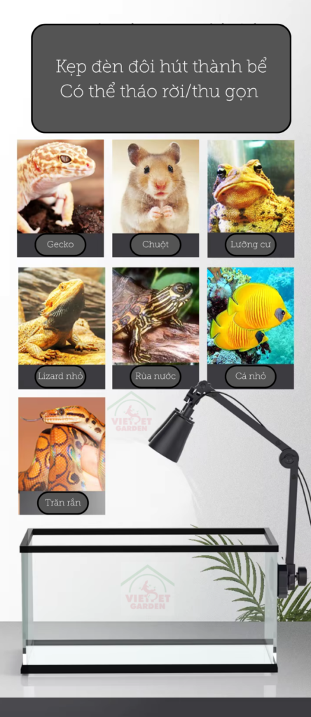 Kẹp đèn đôi cho bò sát Nomoy Vietpetgarden 