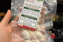 Chuột pinky, chuột bạch cho trăn rắn