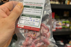 Chuột pinky, chuột bạch cho trăn rắn